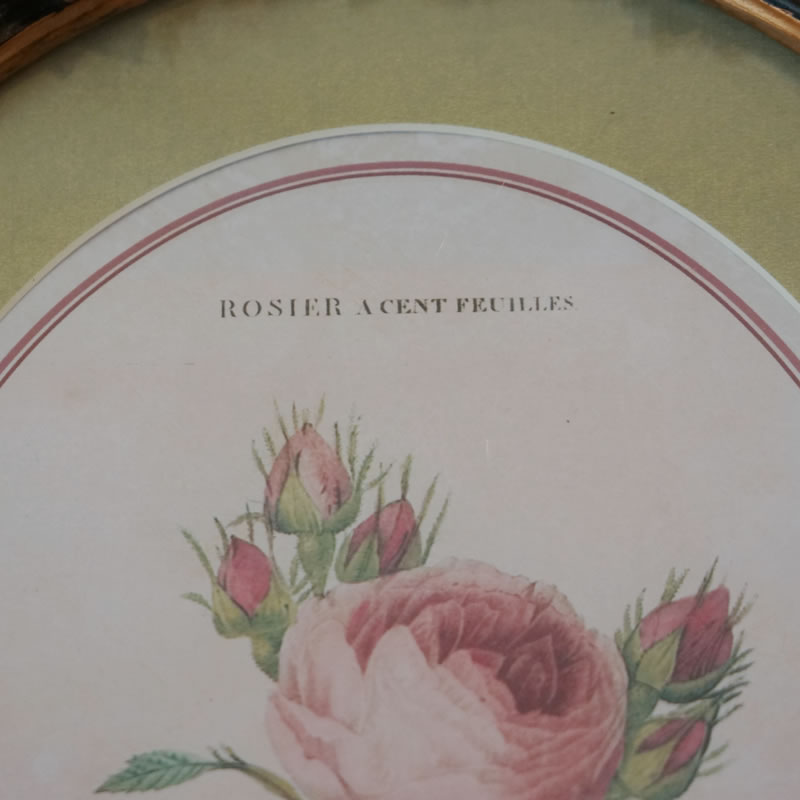 楽天市場】【スーパーセール価格】 絵画 インテリア 額入り イタリア調