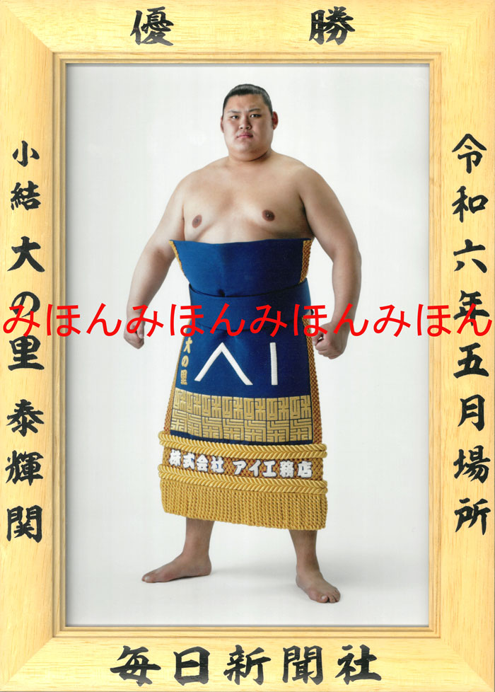 楽天市場】稀勢の里寛関 優勝ミニ額 大相撲ミニ額 大相撲優勝額 平成