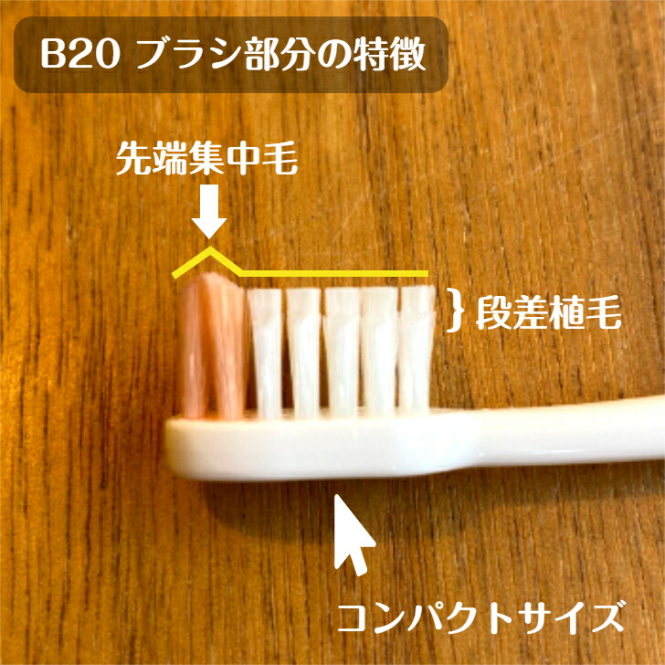 楽天市場】【送料無料！】ルシェロ B-20 M S ピセラ 歯ブラシ 20本