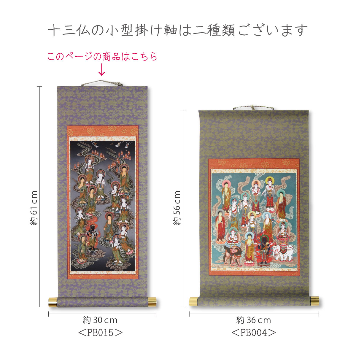 楽天市場】掛軸 掛け軸 模表装 十三仏 縦 小型サイズ : 御朱印帳の