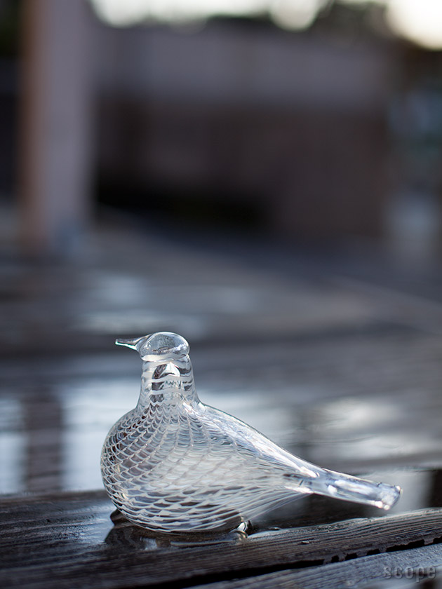 希少◾️世界限定300体◾️イッタラ バード オイバトイッカ Grey Dove 希少◾️世界限定300体◾️イッタラ バード オイバトイッカ Grey Dove