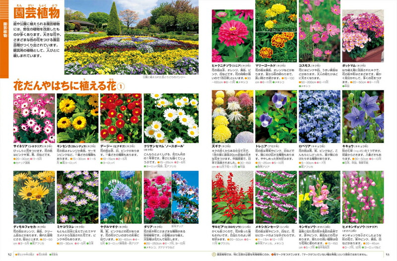 楽天市場】小学館 図鑑NEO DVDつきセット （既16巻） '21年度 : 脳トレ生活