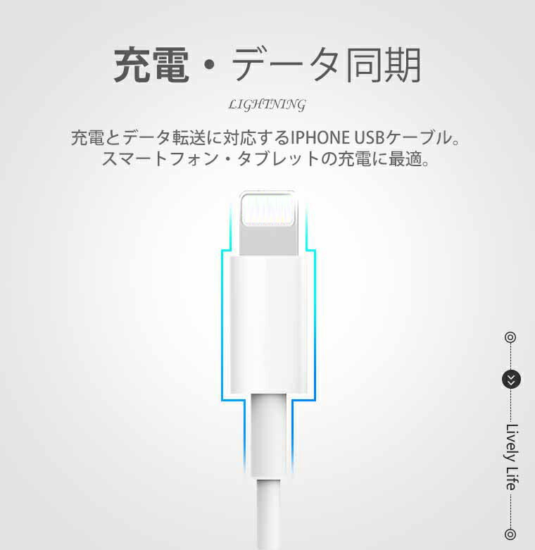楽天市場】【単品注文不可】【2本セット】 iPhone14 Pro Max 充電