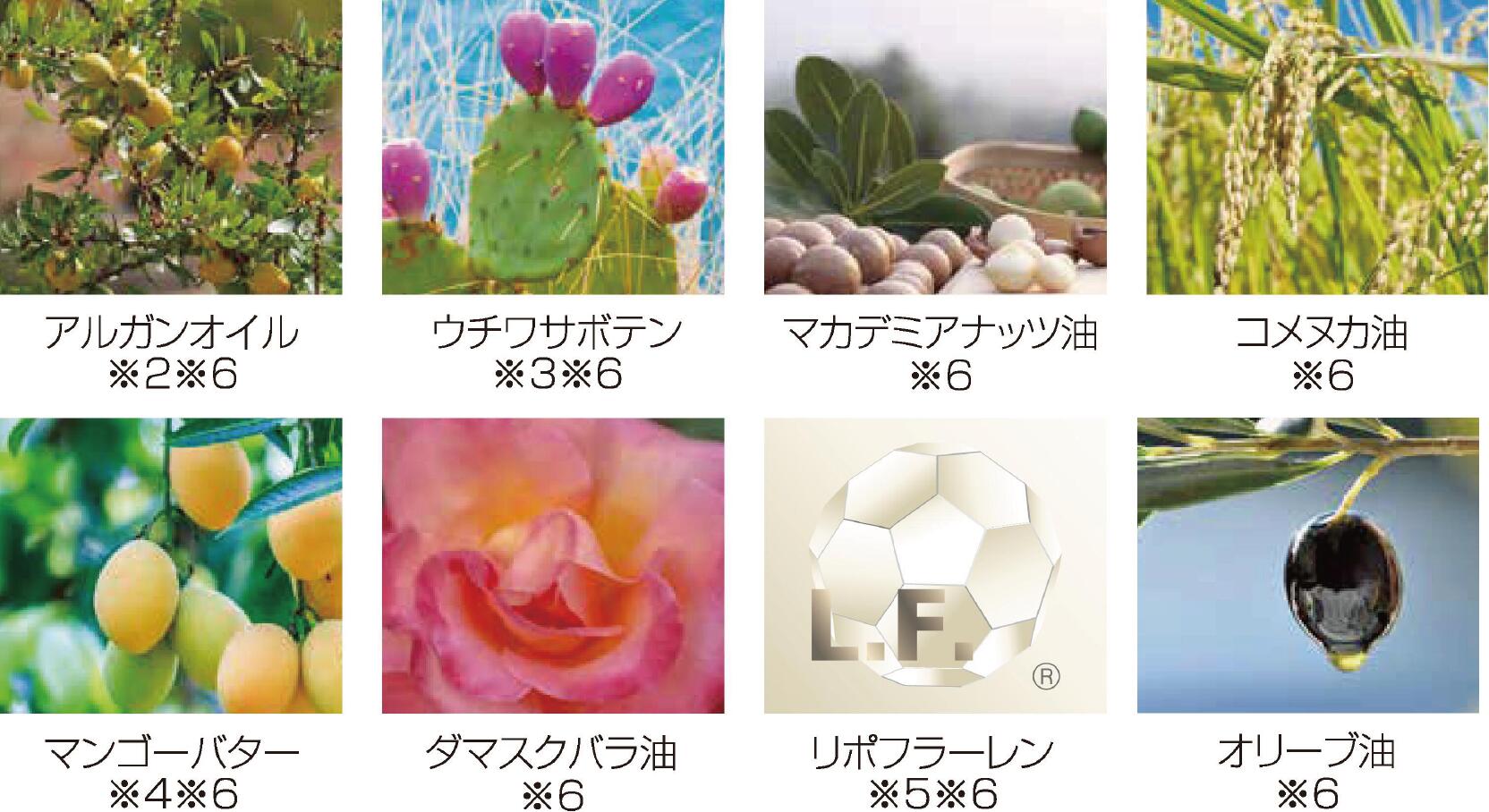 ARTISTIC & CO. HIGH LINE No.4 美容液オイル 3本 大人気！！ハイラインNo.4 🌿 | ARTISTIC&Co. BEAUTÉ | 大丸京都店公式