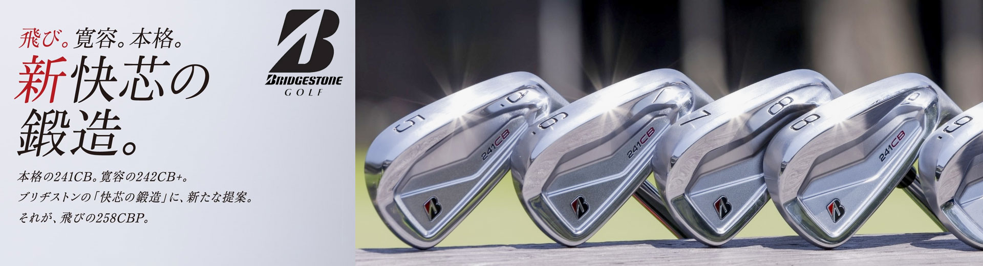 ブリヂストンゴルフ ファイズプレミアム ゴルフボール 1ダース（12球入