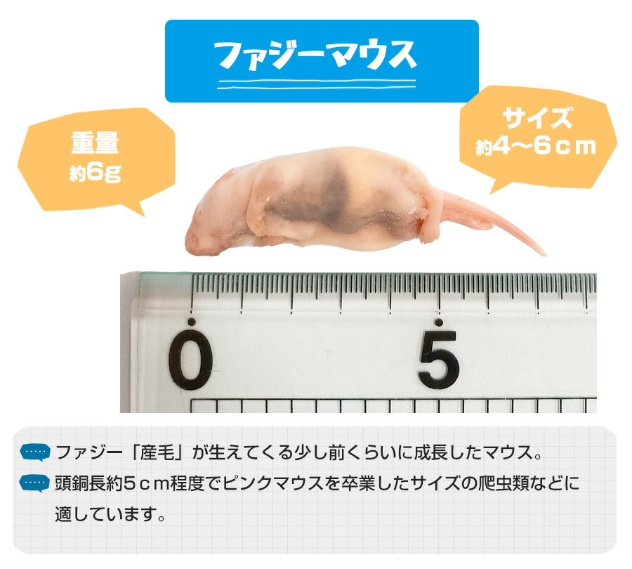冷凍マウス（エサ） フェレットワールド WEB SHOP