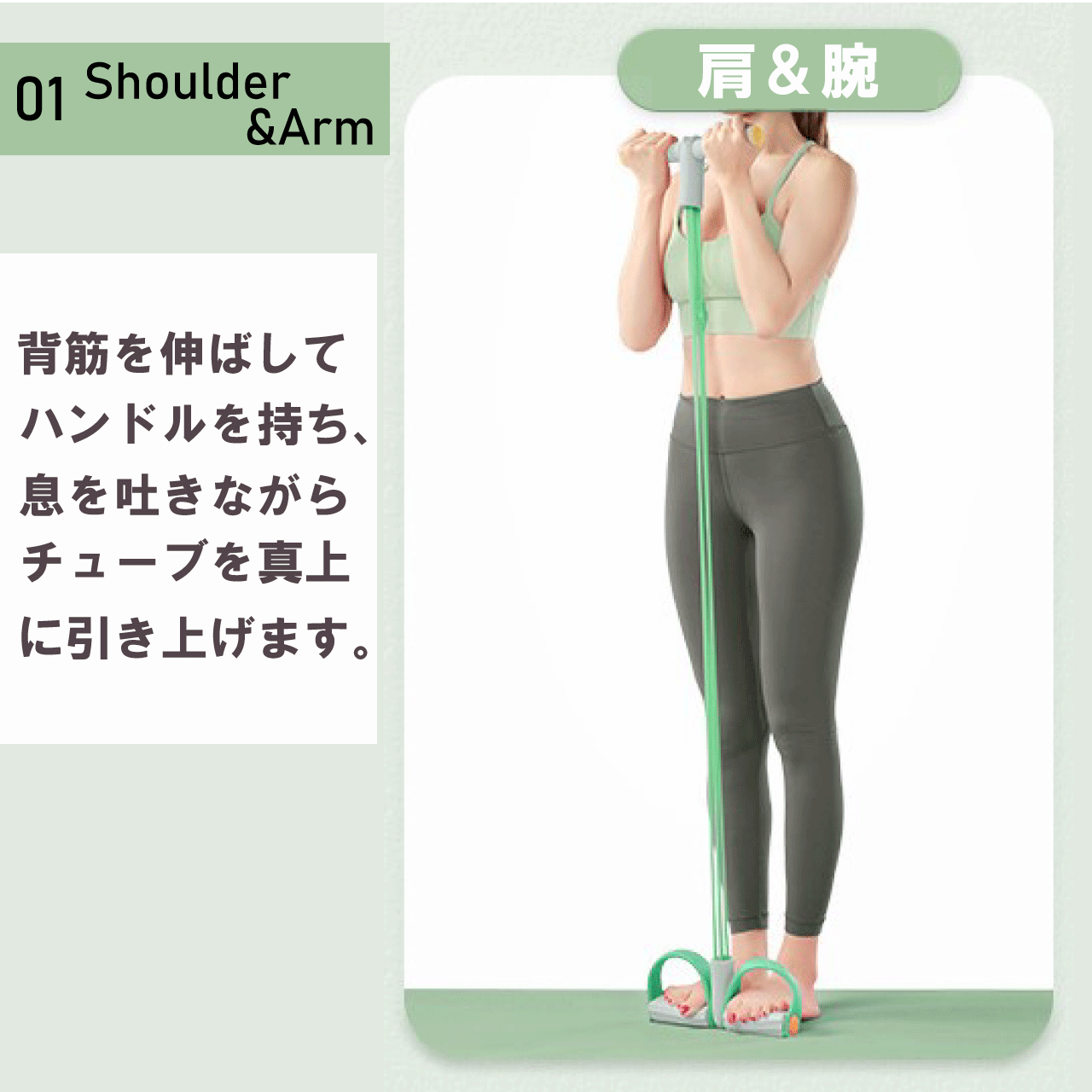 楽天市場】トレーニングチューブ 4カラー ブルー ピンク グリーン