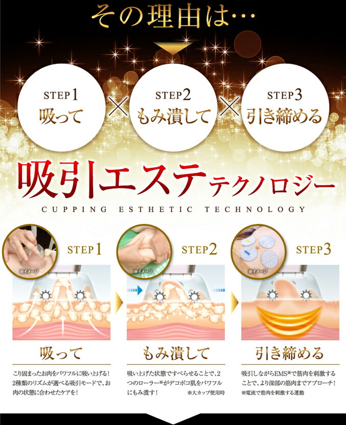 楽天市場】【セール！】 ヤーマン アセチノエレクトロボーテ リポ