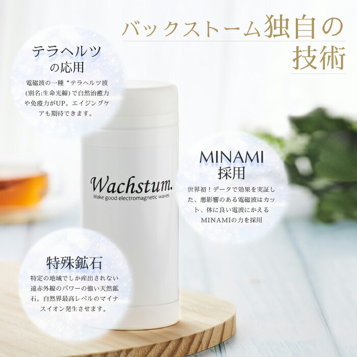 楽天市場】【公式】バックストーム Wachstum ニューモデル 0宣言の家