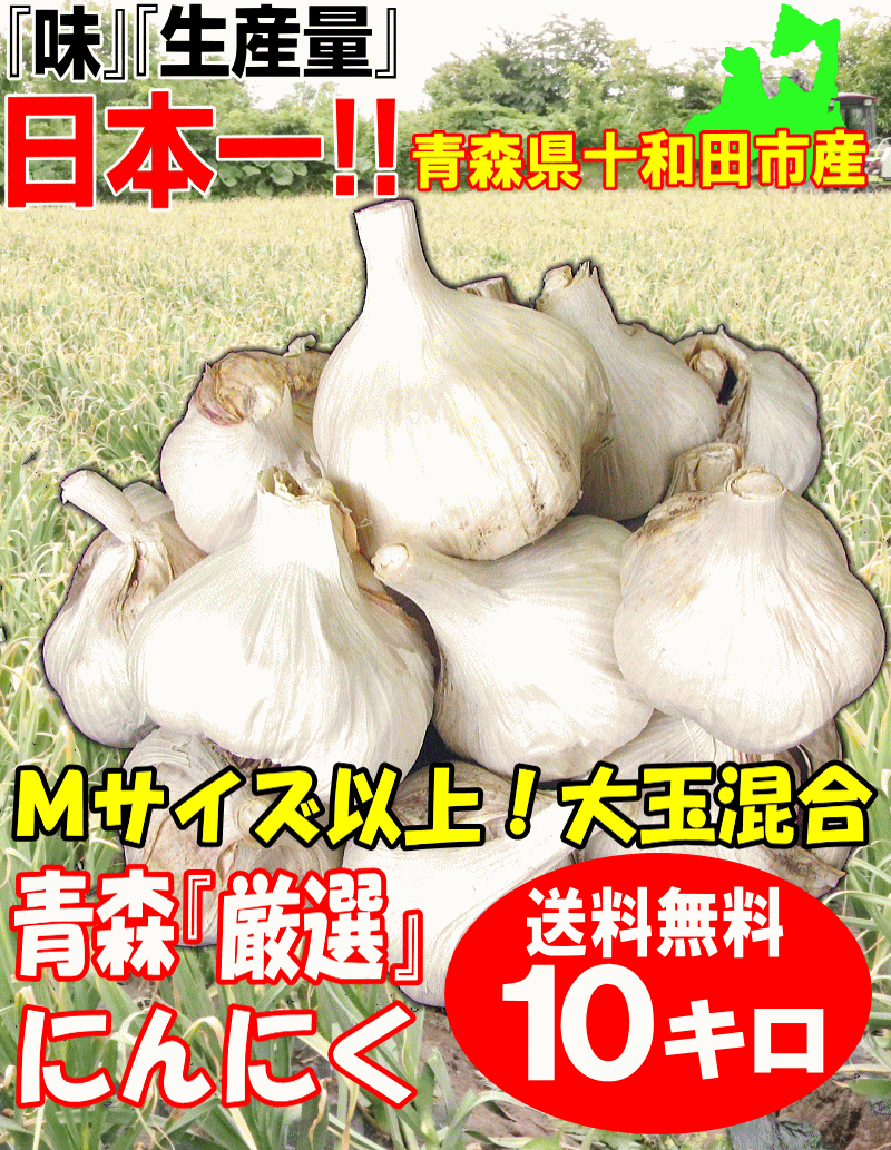 青森県産にんにく M 10キロ 【公式通販】