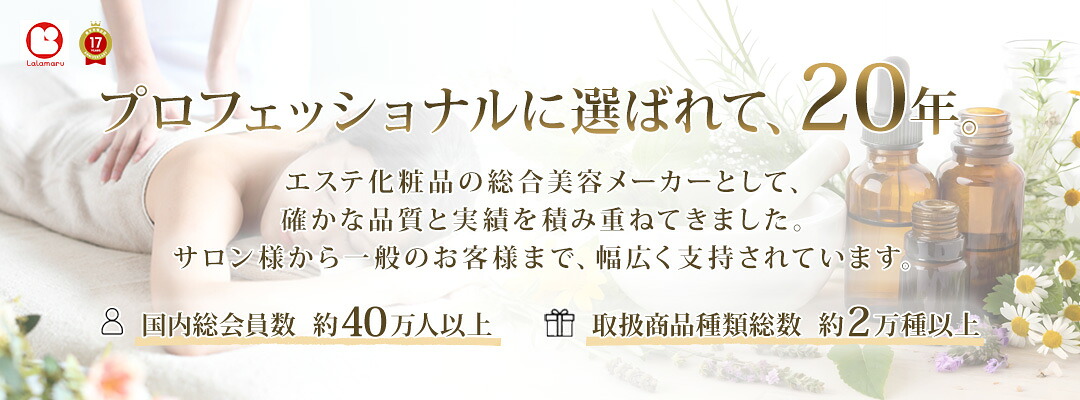 楽天市場】フェイシャルスチーマー エステスチーマー エトゥベラ FS300