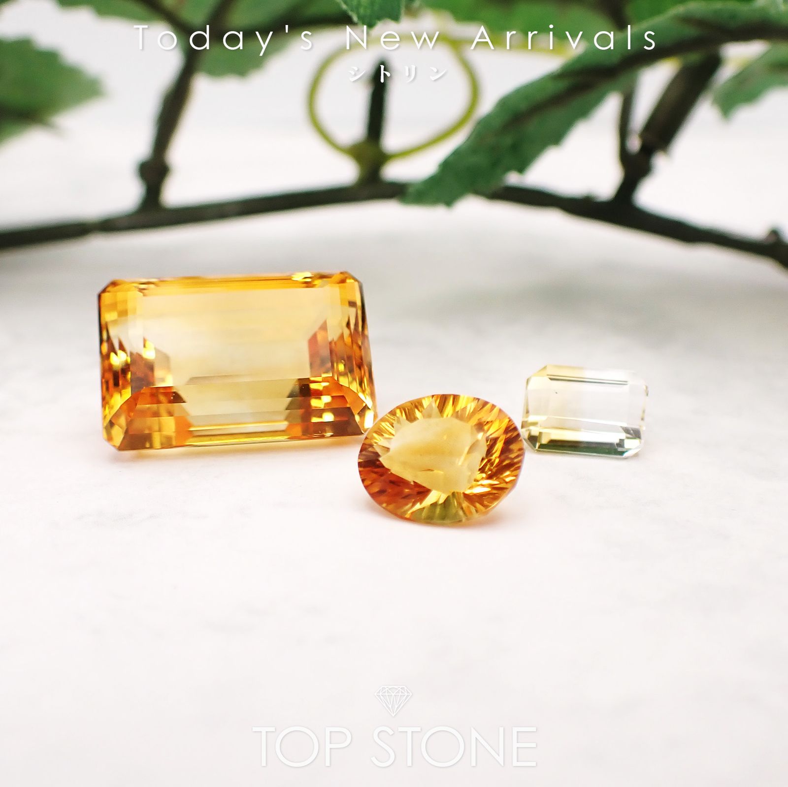 NEWS | リビアングラスの起源が明らかに：隕石衝突が生んだ2900万年前