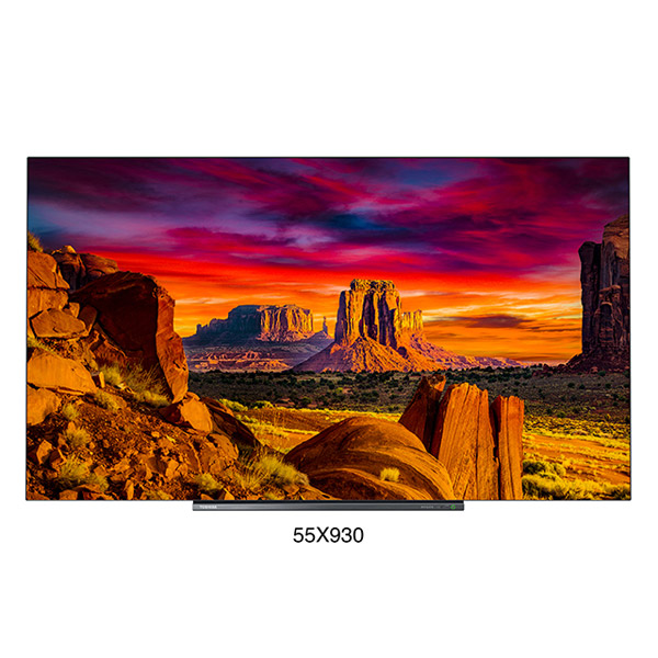 55X930 有機ELテレビ REGZA(レグザ)【55V型】【BS・CS 4Kダブル