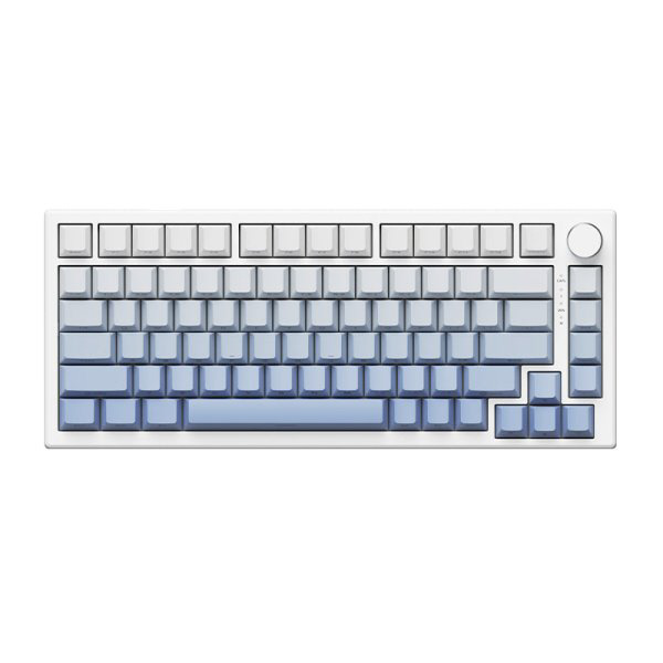 ゲーミングキーボード(ラピッドトリガー対応) VGN A75(英語配列