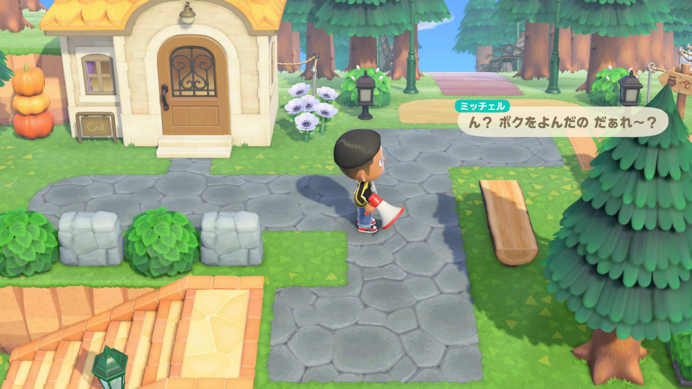 あつまれ どうぶつの森 Nintendo Switch 2 Edition｜の通販は