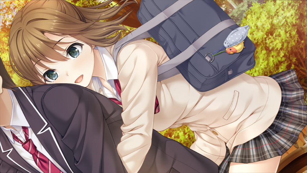 フルキスSS 完全生産限定版｜の通販はソフマップ[sofmap]