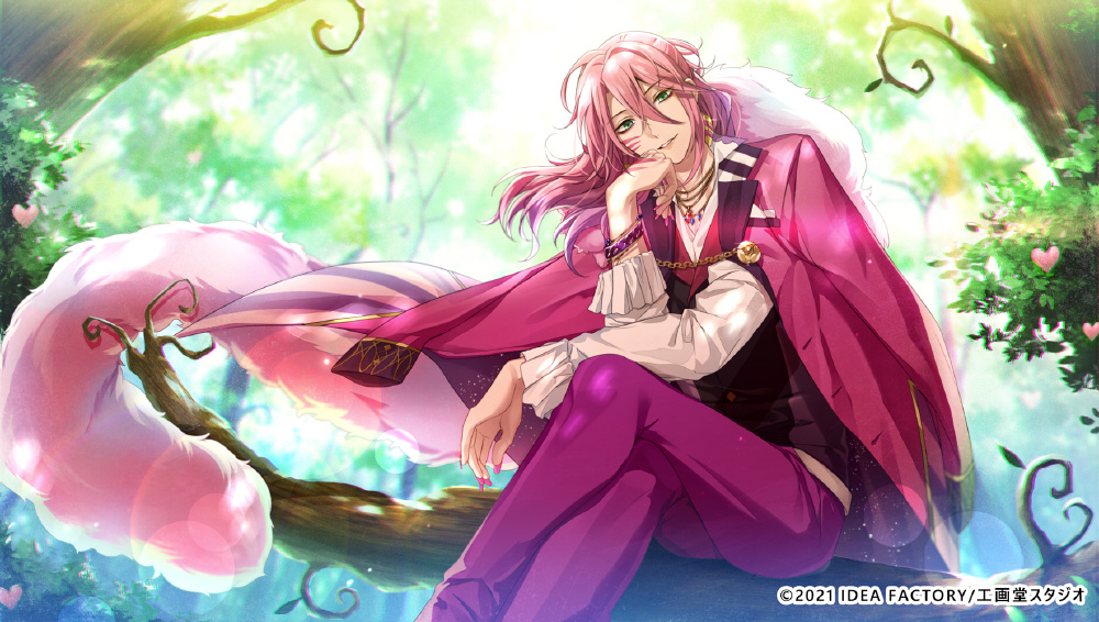 白と黒のアリス for Nintendo Switch 限定版｜の通販はソフマップ[sofmap]