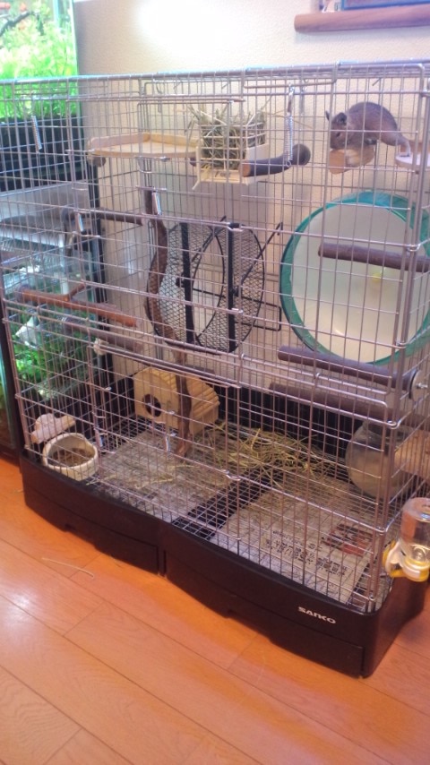 キャスター・スノコ・牧草入れボール付き】SANKO イージーホーム80ハイ