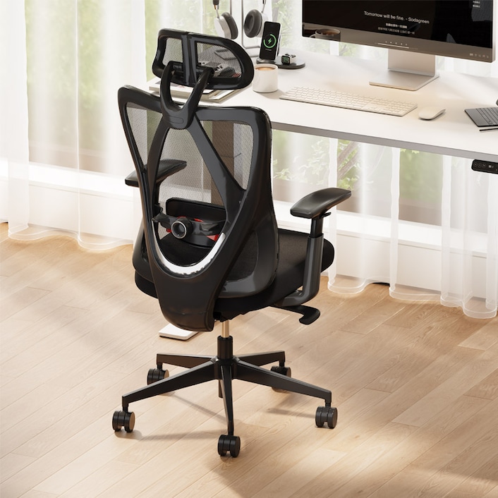 オフィスチェア・C5 | FlexiSpot 公式ストア