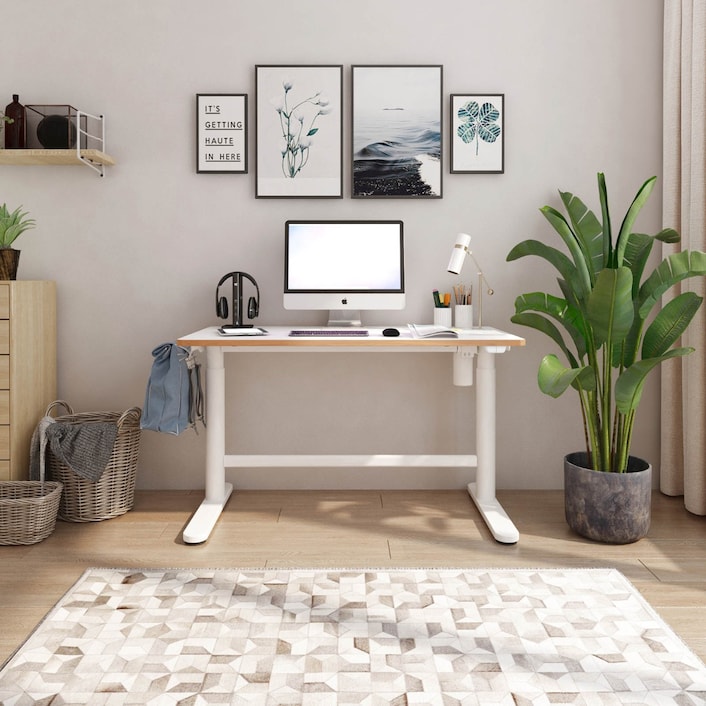 電動昇降式デスク・SD1 | FlexiSpot 公式ストア