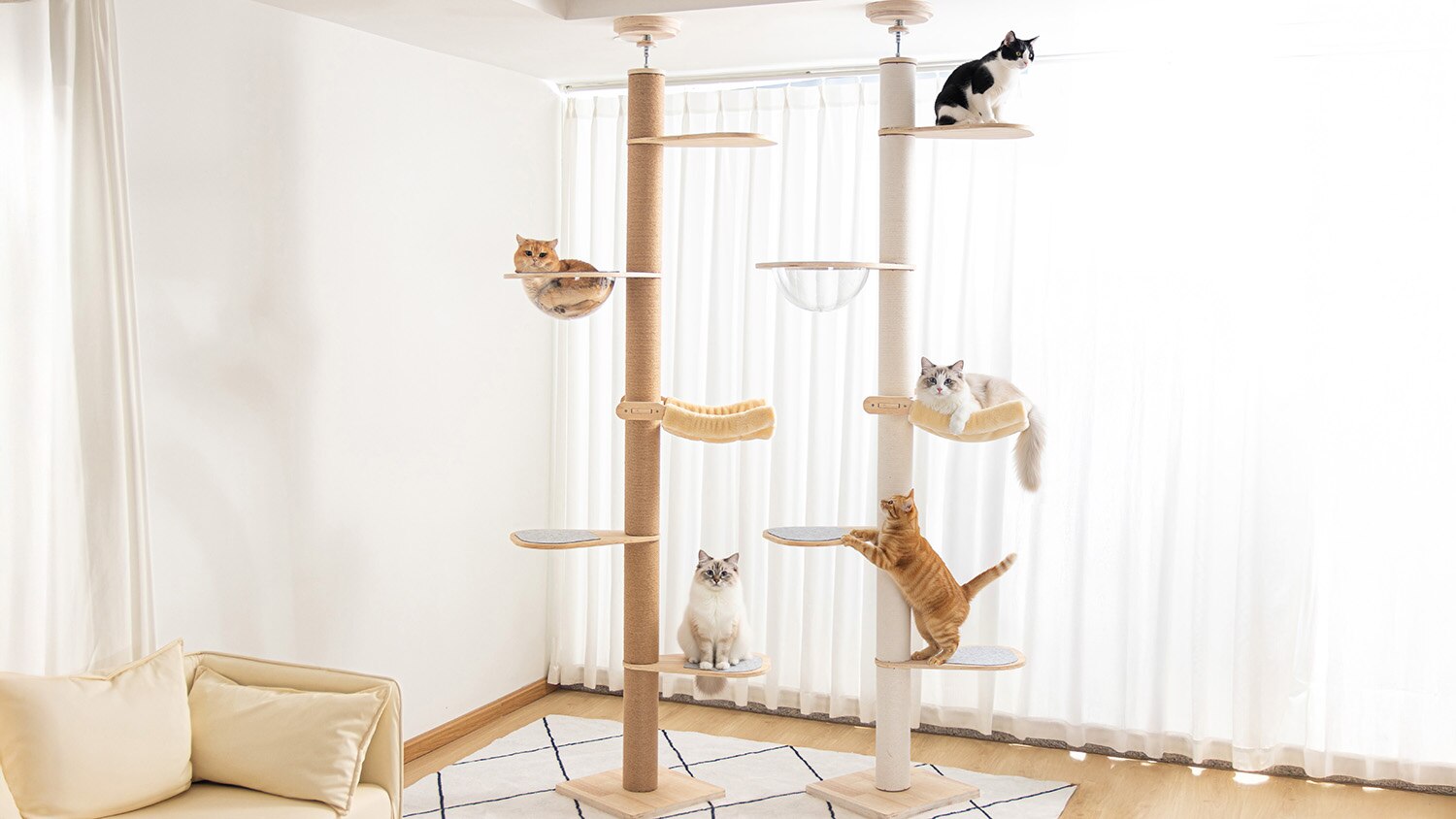 楽天市場】【楽天1位・板厚み15mm】6段タイプ・あす楽 キャットタワー