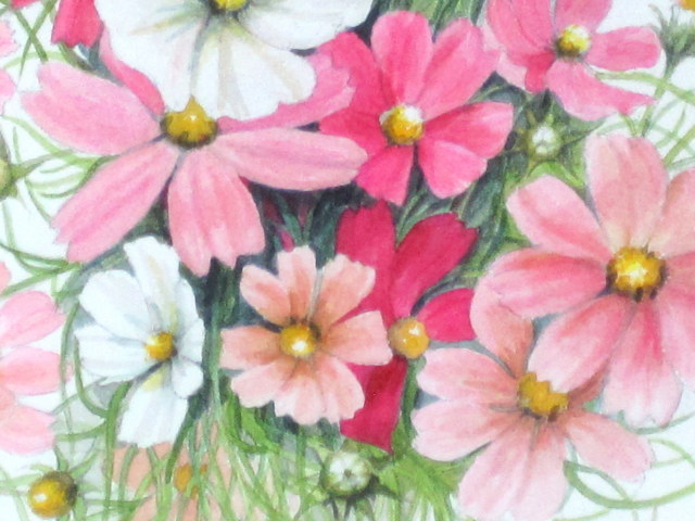 野に遊ぶ」（ピンクのコスモス）・志村好子・水彩画・4号