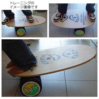 INDO BOARD インドボードマルチセット ☆インドフローにミニローラーが
