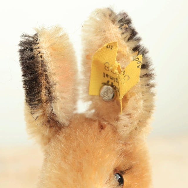 アンティーク シュタイフ ウサギ Steiff Sonny 8cm