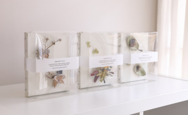 ブロカント BC045キャンバス