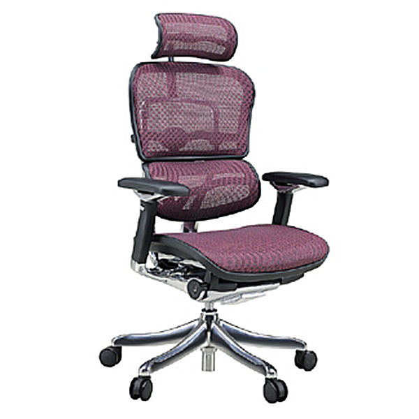 Ergohumanエルゴヒューマンプロハイタイプ/エラストメリックメッシュ