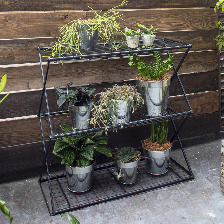 パンタグラック Sサイズ (Pantagrack Ssize)