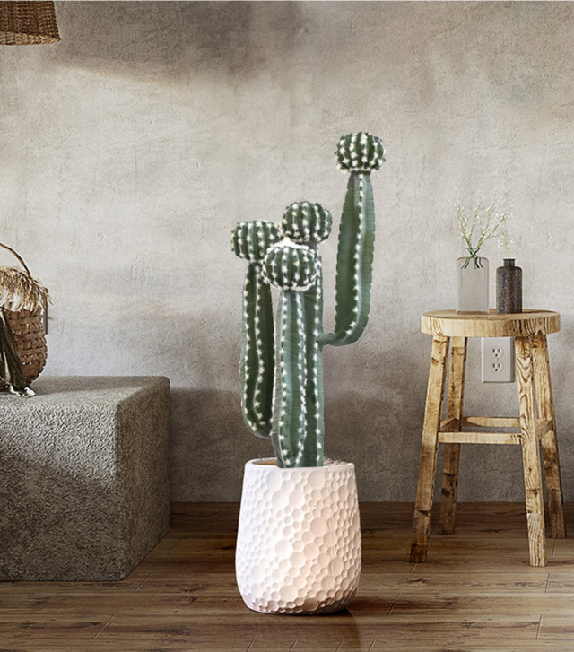 4570190994855-1.jpg?t=