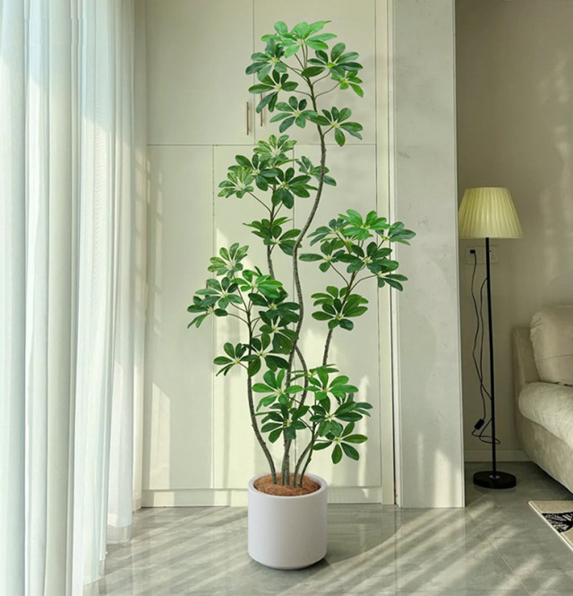 4570190994879-1.jpg?t=