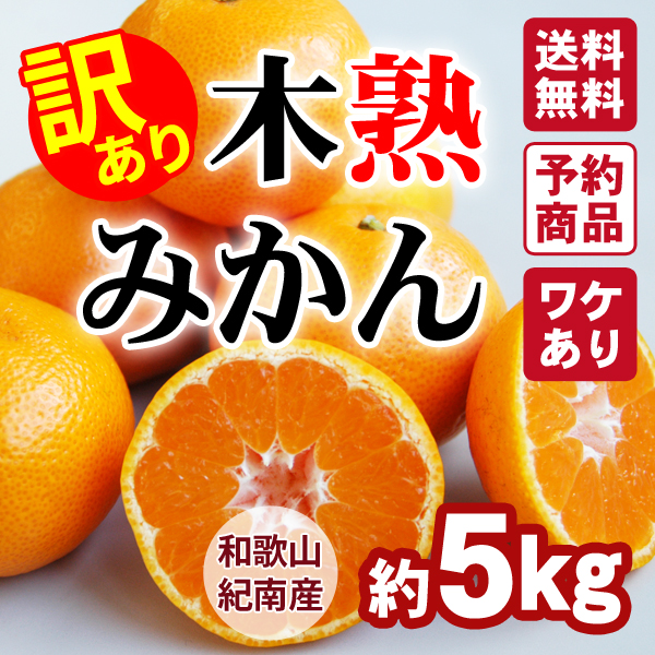 送料無料】木熟みかん「極天」 小玉サイズ 3kg 紀州梅干し・みかんのJA