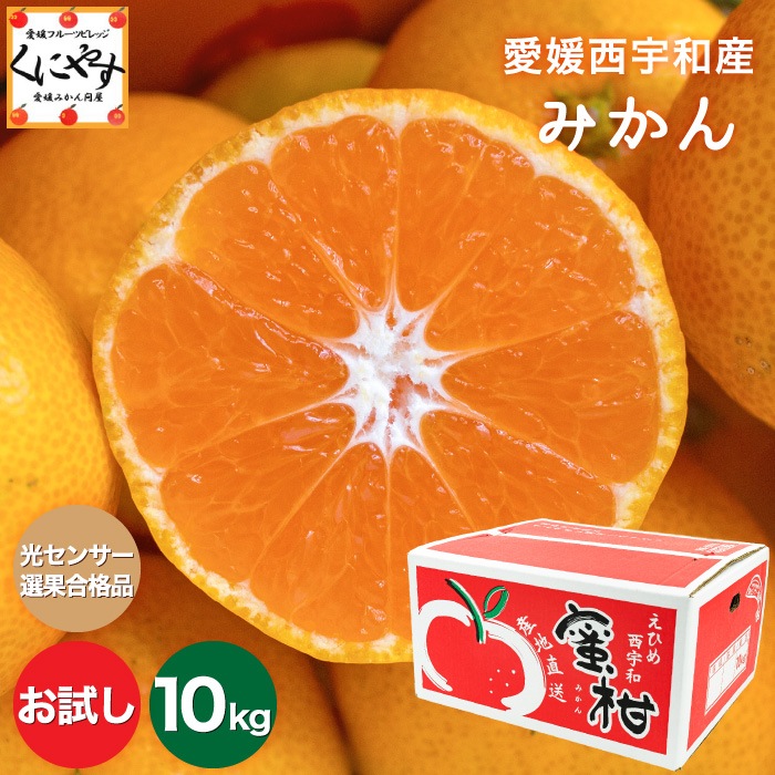 柑橘王国・愛媛県西宇和地方より産地直送！お試しみかんのご予約受付中