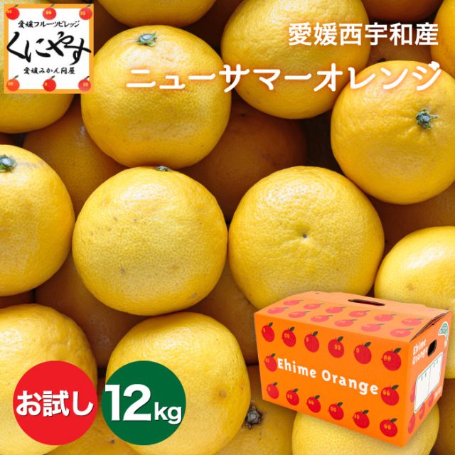 まずは少量から試したい方におすすめ！愛媛西宇和産のニューサマー