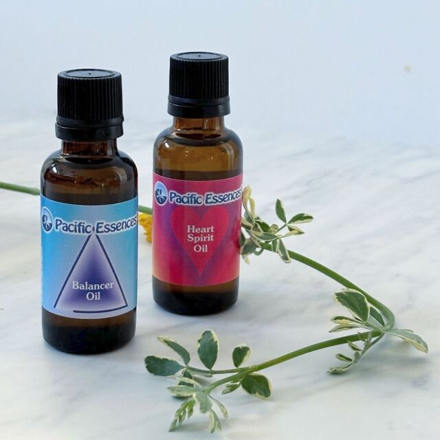 人生を喜びを持って受け入れ、ハートを開いて楽しみたい方にオススメの