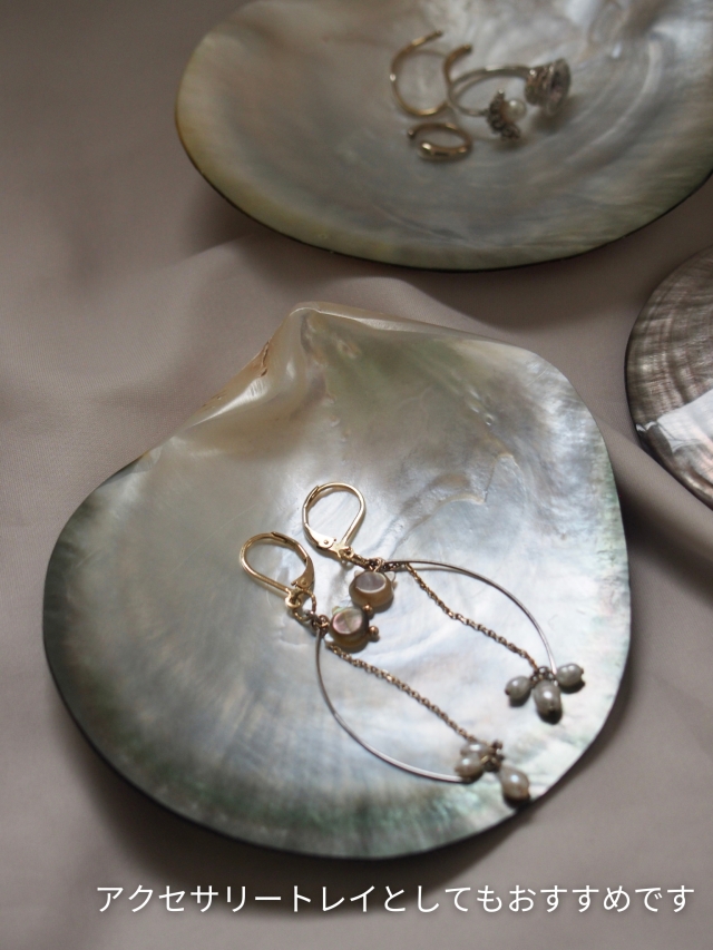 クロチョウガイ磨き【約9～10cm/1枚】En: Black MOP polished (size