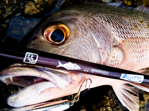 Tulala Glissando 77（ツララ グリッサンド77） 【シーバスルアー専門