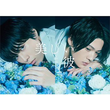 美しい彼 DVD-BOX