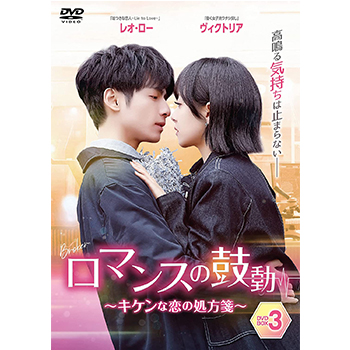 ロマンスの鼓動 ～キケンな恋の処方箋～DVD-BOX2