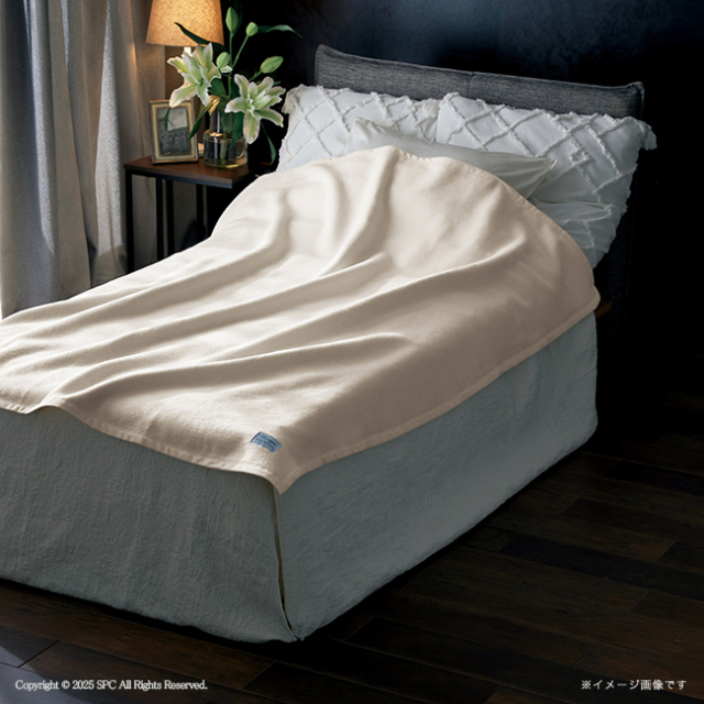 mayu あらう 洗えるシルク混毛布2枚セット No.200【割引きクーポン対象