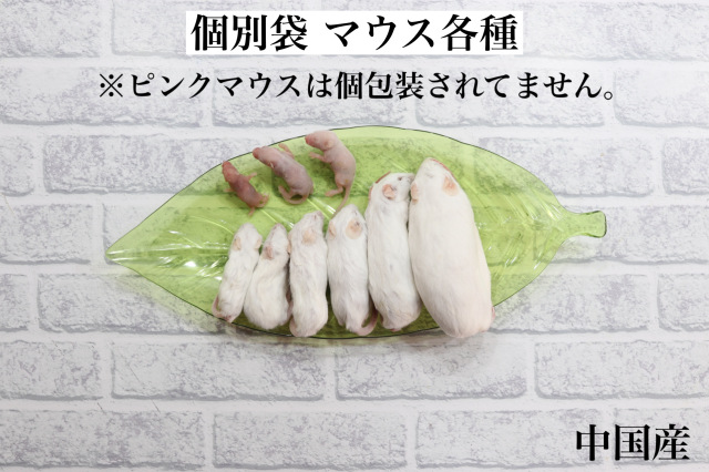 冷凍リタイアマウス 10匹入り