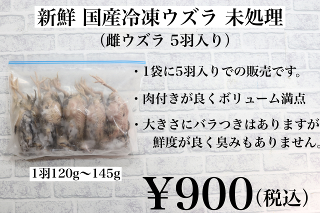 冷凍 親うずら 未処理100羽入 数量限定 残5箱 冷凍親うずら未