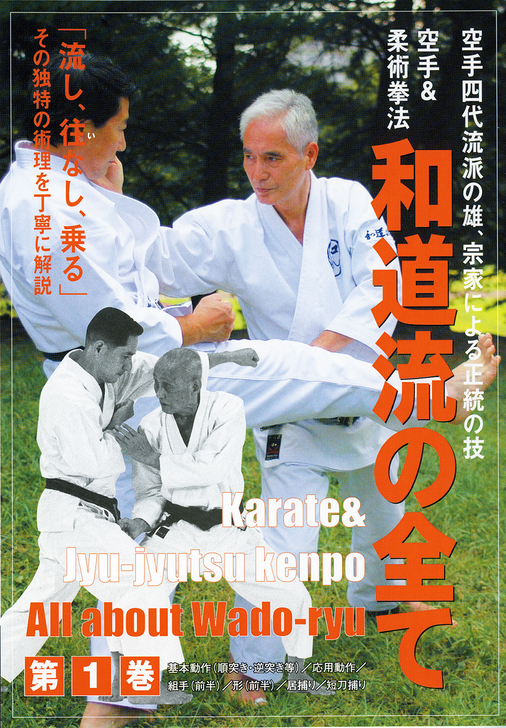 和道流の全てシリーズ 第2巻（DVD）