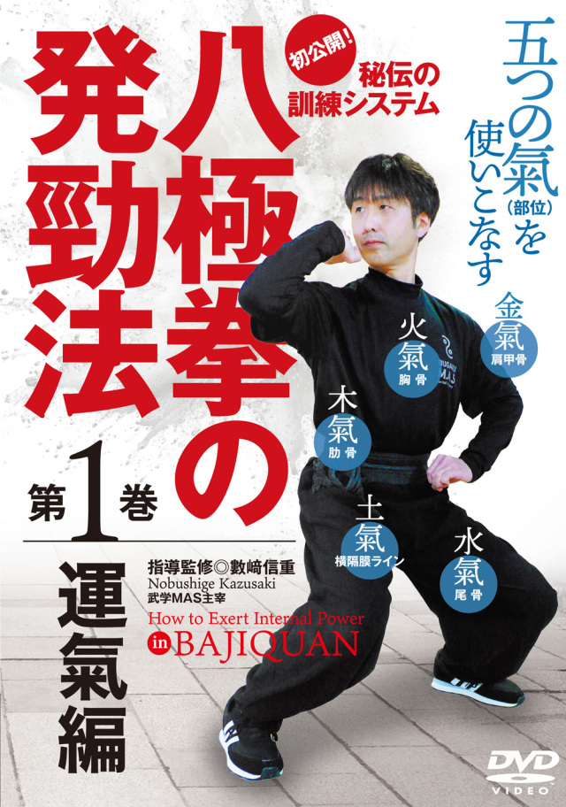 DVD 八極拳の発勁法 第1巻 運氣編