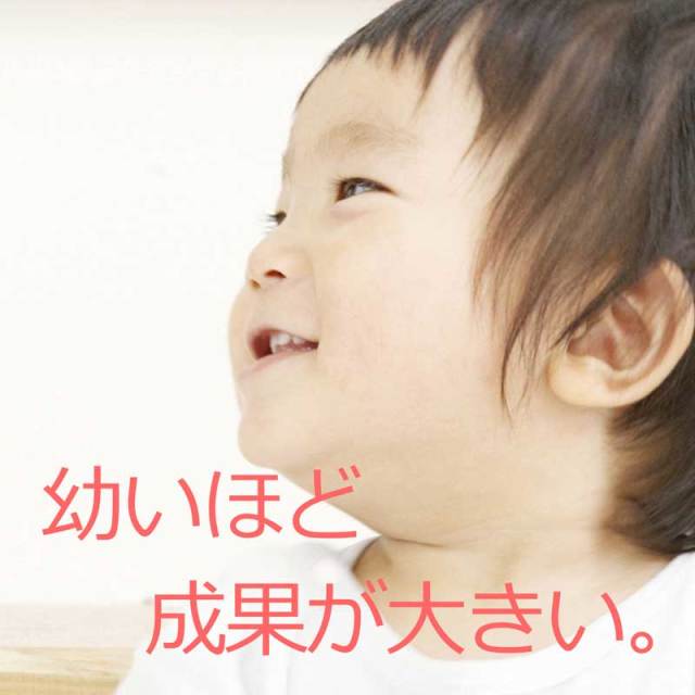 公式】ティンカーベル9巻 (星みつる式)｜5,400枚の絵カードを9枚のDVD