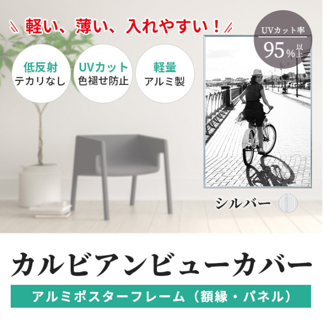 UVカット 低反射 アルミ ポスター フレーム B2 サイズ カルビアン