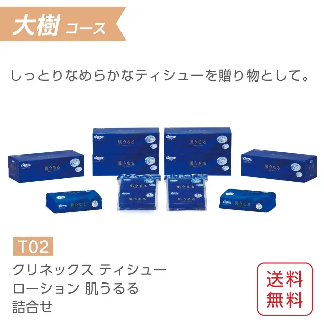 公式】ギフトセット ローションティッシュ詰合せ クリネックス 肌
