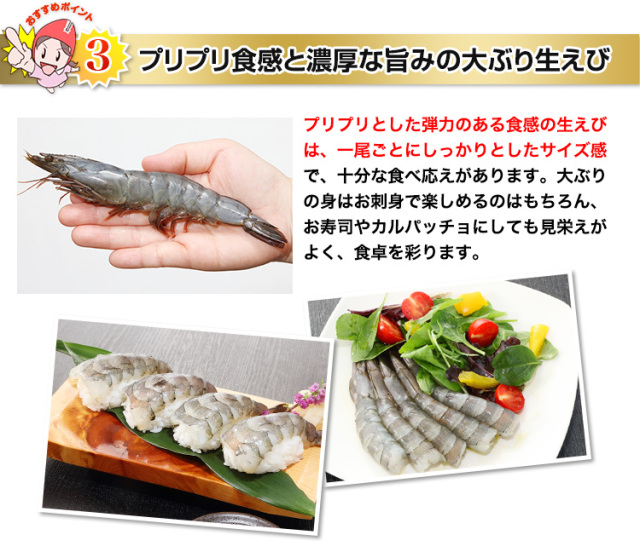 752:【刺身用】鮮度極生えび500g（5尾×3P）